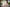 Starpery Sexpuppe Qingwen