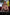 Starpery Sexpuppe Eva