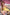 Starpery Sexpuppe Julie