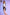 Starpery Sexpuppe Xue