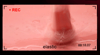 Automatic Sucking Telescopic Intelligent Sound & Heating Simulation Male masturbator, Best Mens Sex Toys