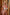 Doll Castle Sex Doll Casandra