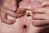 JigglyJoy Torso Joann