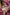 Doll Castle Sex Doll Karina